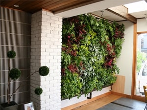 壁面緑化 【 屋内:プラティコ式壁面緑化パネル使用 】 13