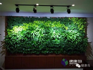 壁面緑化 【 屋内:プラティコ式壁面緑化パネル使用 】 36