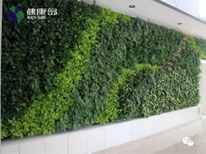 壁面緑化 【 屋内:プラティコ式壁面緑化パネル使用 】 39