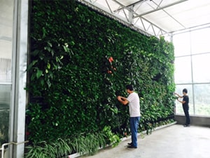 壁面緑化 【 屋内:プラティコ式壁面緑化パネル使用 】 40