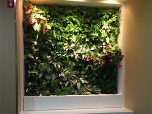 壁面緑化 【 屋内:プラティコ式壁面緑化パネル使用 】 52