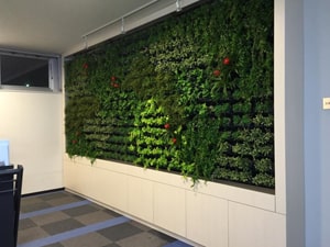 壁面緑化 【 屋内:プラティコ式壁面緑化パネル使用 】 57