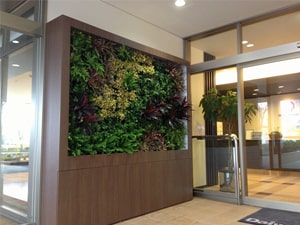 壁面緑化 【 屋内:プラティコ式壁面緑化パネル使用 】 7