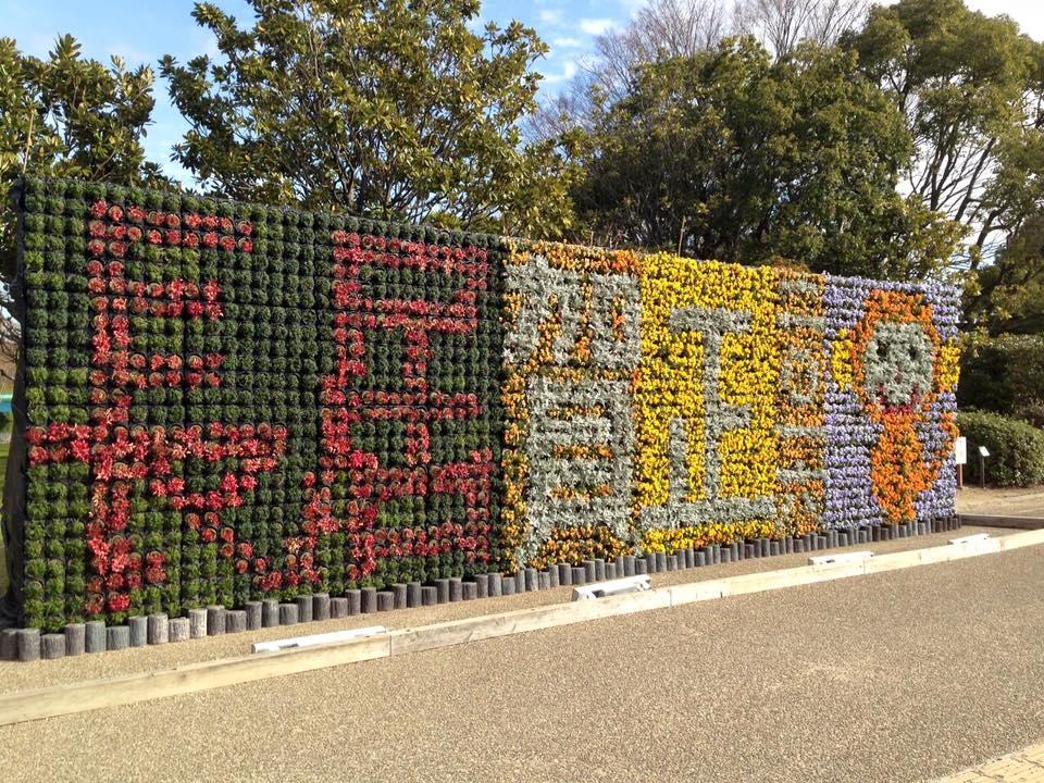 壁面緑化の伊藤商事