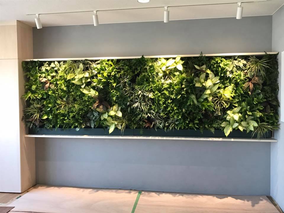 壁面緑化 【 屋内:プラティコ式壁面緑化パネル使用 】 143