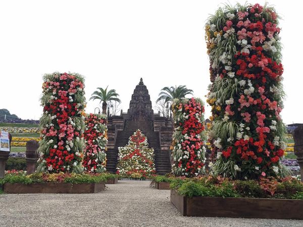 花イベント