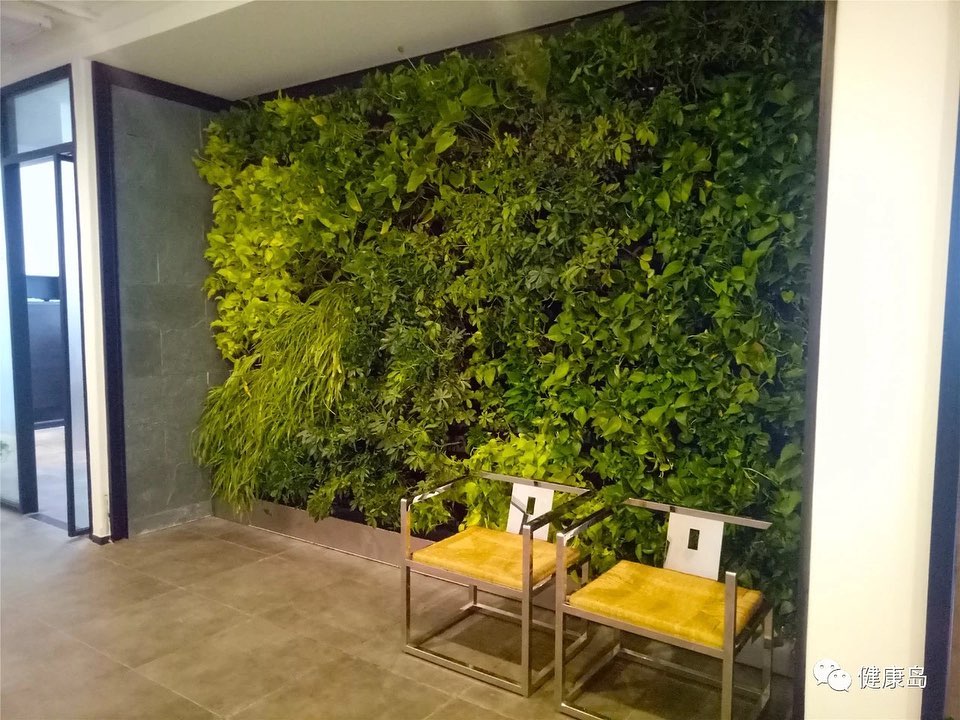 壁面緑化 【 屋内:プラティコ式壁面緑化パネル使用 】 128