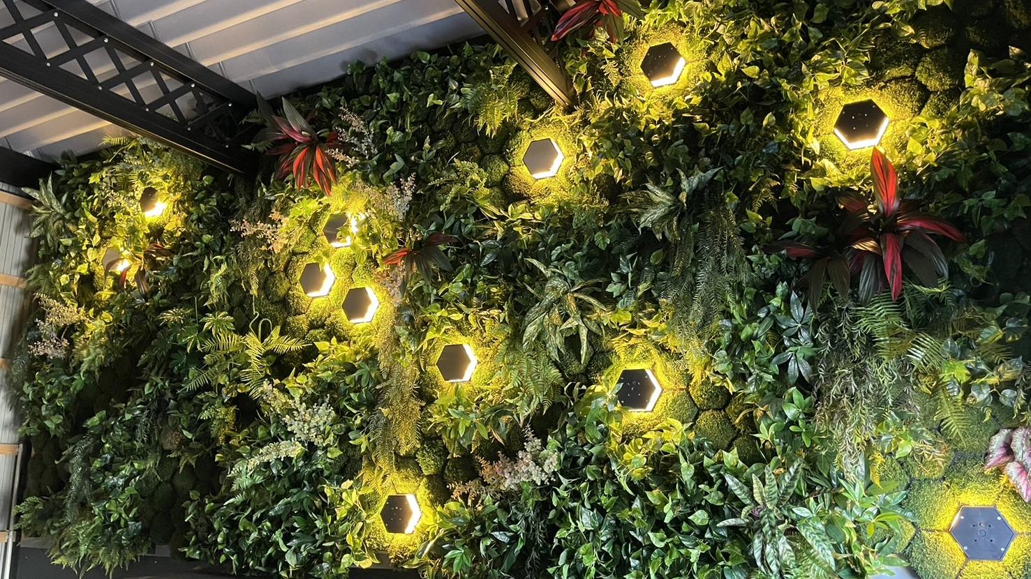 倉庫をリノベーションした空間に設置された植物と苔の壁面グリーンアート